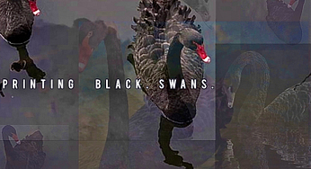 FRN Preview: Printing Black Swans